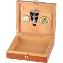 Humidor Wurzelholzdekor abschließbar